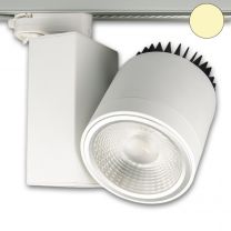 LED 3-PH Schienen-Strahler fokussierbar, 35W, 30°-50°, weiß matt, warmweiß