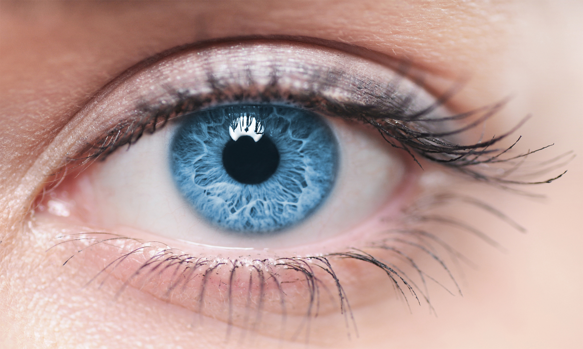 Pupil Lumens - Helligkeit neu definiert